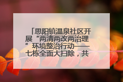 思阳镇温泉社区开展“两清两改两治理”环境整治行动——七栋全面大扫除，共建洁净家园