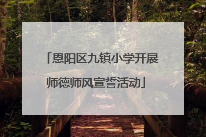 恩阳区九镇小学开展师德师风宣誓活动