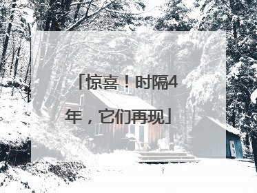 惊喜！时隔4年，它们再现