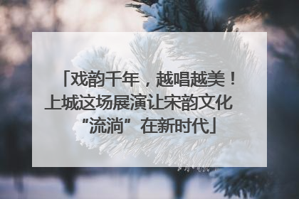 戏韵千年，越唱越美！上城这场展演让宋韵文化“流淌”在新时代