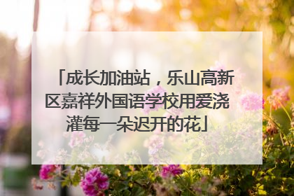 成长加油站，乐山高新区嘉祥外国语学校用爱浇灌每一朵迟开的花