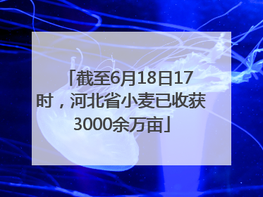 截至6月18日17时，河北省小麦已收获3000余万亩