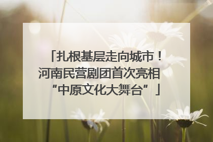 扎根基层走向城市！河南民营剧团首次亮相“中原文化大舞台”