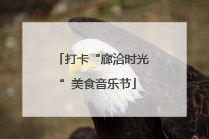 打卡“廊洽时光”美食音乐节