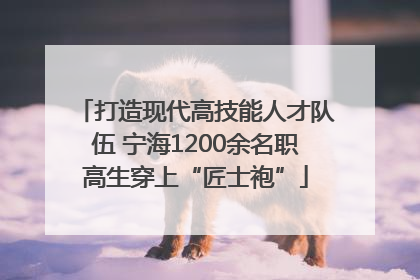 打造现代高技能人才队伍 宁海1200余名职高生穿上“匠士袍”