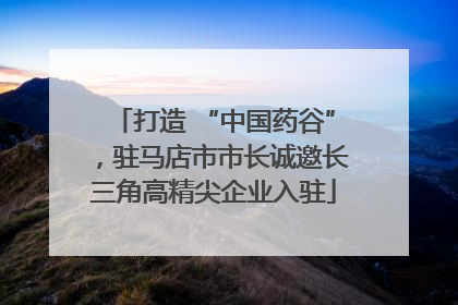打造 “中国药谷”，驻马店市市长诚邀长三角高精尖企业入驻
