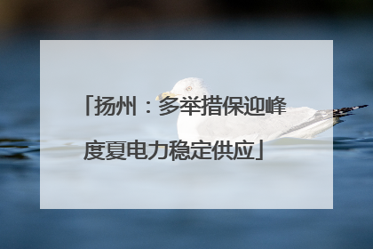 扬州：多举措保迎峰度夏电力稳定供应