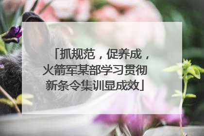抓规范，促养成，火箭军某部学习贯彻新条令集训显成效