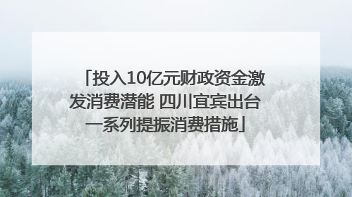 投入10亿元财政资金激发消费潜能 四川宜宾出台一系列提振消费措施
