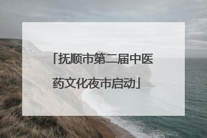 抚顺市第二届中医药文化夜市启动