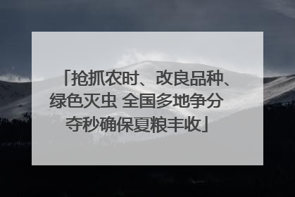 抢抓农时、改良品种、绿色灭虫 全国多地争分夺秒确保夏粮丰收