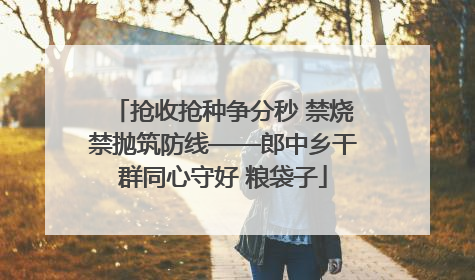 抢收抢种争分秒 禁烧禁抛筑防线——郎中乡干群同心守好 粮袋子