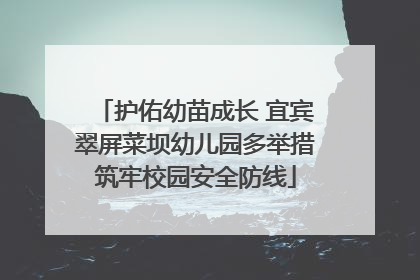 护佑幼苗成长 宜宾翠屏菜坝幼儿园多举措筑牢校园安全防线