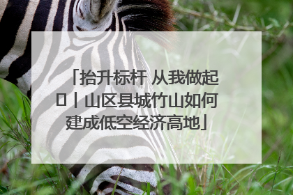 抬升标杆 从我做起⑭丨山区县城竹山如何建成低空经济高地