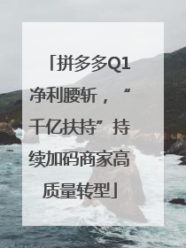 拼多多Q1净利腰斩，“千亿扶持”持续加码商家高质量转型