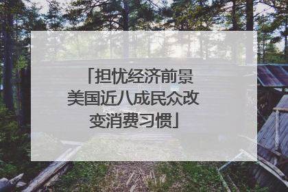 担忧经济前景 美国近八成民众改变消费习惯