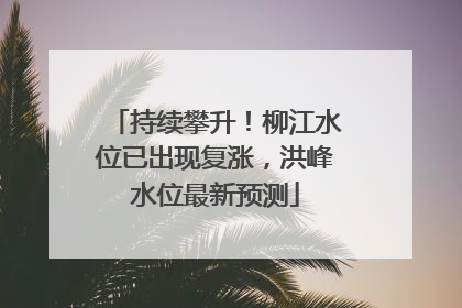 持续攀升！柳江水位已出现复涨，洪峰水位最新预测