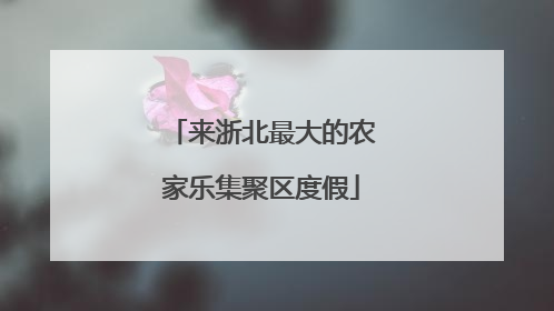 来浙北最大的农家乐集聚区度假