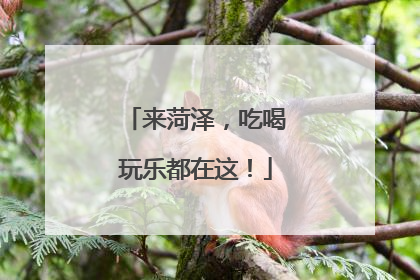 来菏泽，吃喝玩乐都在这！