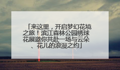 来这里，开启梦幻花境之旅！滨江森林公园绣球花展邀你共赴一场与云朵、花儿的浪漫之约