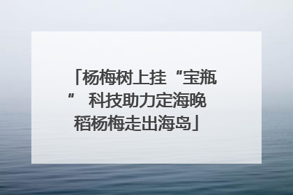 杨梅树上挂“宝瓶” 科技助力定海晚稻杨梅走出海岛