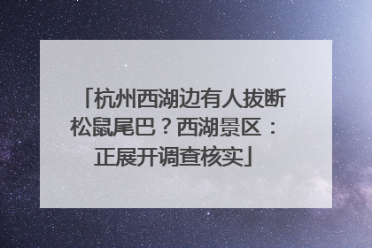 杭州西湖边有人拔断松鼠尾巴？西湖景区：正展开调查核实