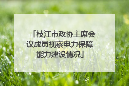 枝江市政协主席会议成员视察电力保障能力建设情况