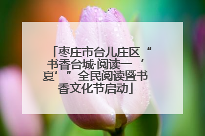枣庄市台儿庄区“书香台城·阅读一‘夏’”全民阅读暨书香文化节启动