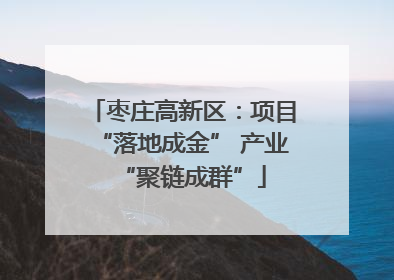 枣庄高新区：项目“落地成金” 产业“聚链成群”