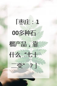 枣庄：100多种石榴产品，靠什么“七十二变”？