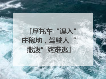 摩托车“误入”庄稼地，驾驶人“撒泼”终难逃