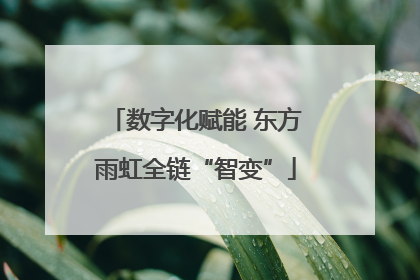 数字化赋能 东方雨虹全链“智变”