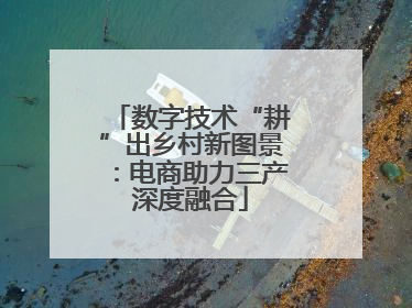 数字技术“耕”出乡村新图景：电商助力三产深度融合