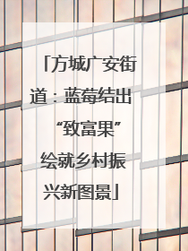 方城广安街道：蓝莓结出 “致富果” 绘就乡村振兴新图景