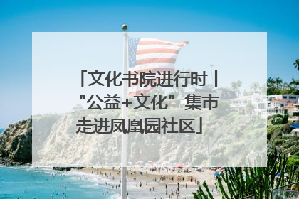 文化书院进行时丨“公益+文化”集市走进凤凰园社区