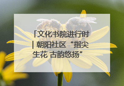 文化书院进行时｜朝阳社区“指尖生花 古韵悠扬”公益课堂开课了