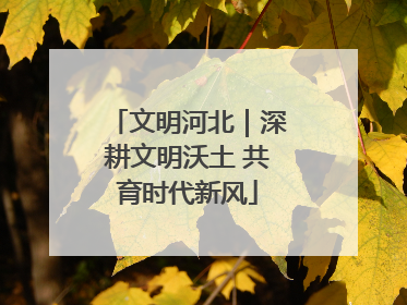文明河北｜深耕文明沃土 共育时代新风