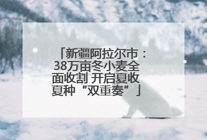 新疆阿拉尔市：38万亩冬小麦全面收割 开启夏收夏种“双重奏”