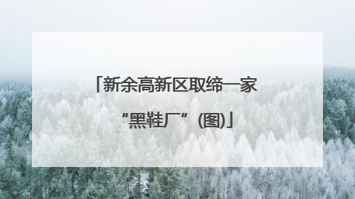 新余高新区取缔一家“黑鞋厂”(图)