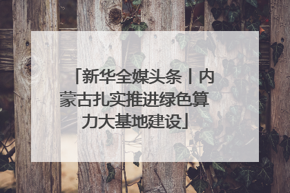 新华全媒头条丨内蒙古扎实推进绿色算力大基地建设