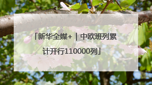 新华全媒+｜中欧班列累计开行110000列
