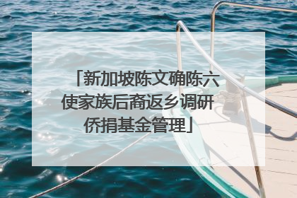 新加坡陈文确陈六使家族后裔返乡调研侨捐基金管理