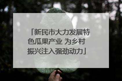 新民市大力发展特色瓜果产业 为乡村振兴注入强劲动力