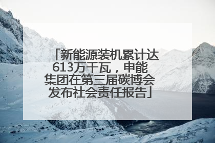 新能源装机累计达613万千瓦，申能集团在第三届碳博会发布社会责任报告