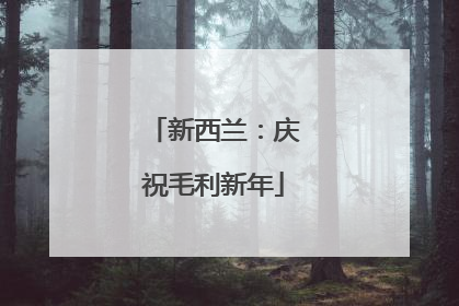 新西兰：庆祝毛利新年