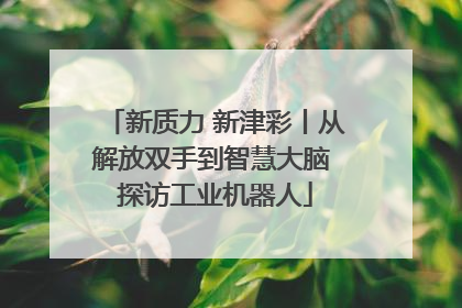 新质力 新津彩丨从解放双手到智慧大脑 探访工业机器人
