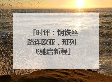 时评：钢铁丝路连欧亚，班列飞驰启新程