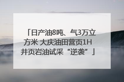 日产油8吨、气3万立方米 大庆油田营页1H井页岩油试采“逆袭”
