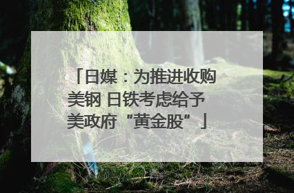 日媒：为推进收购美钢 日铁考虑给予美政府“黄金股”