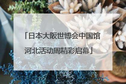 日本大阪世博会中国馆河北活动周精彩启幕